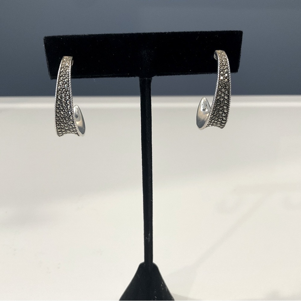 Grey Crystal Hoop Earrings